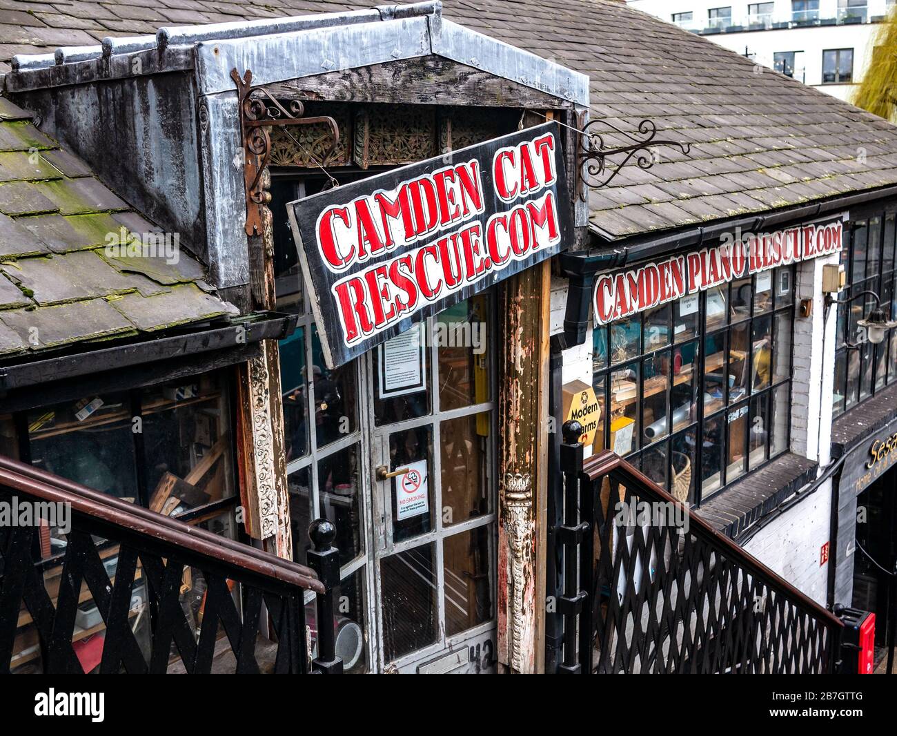 Camden Cat Rescue.com Camden Market North London Foto Stock