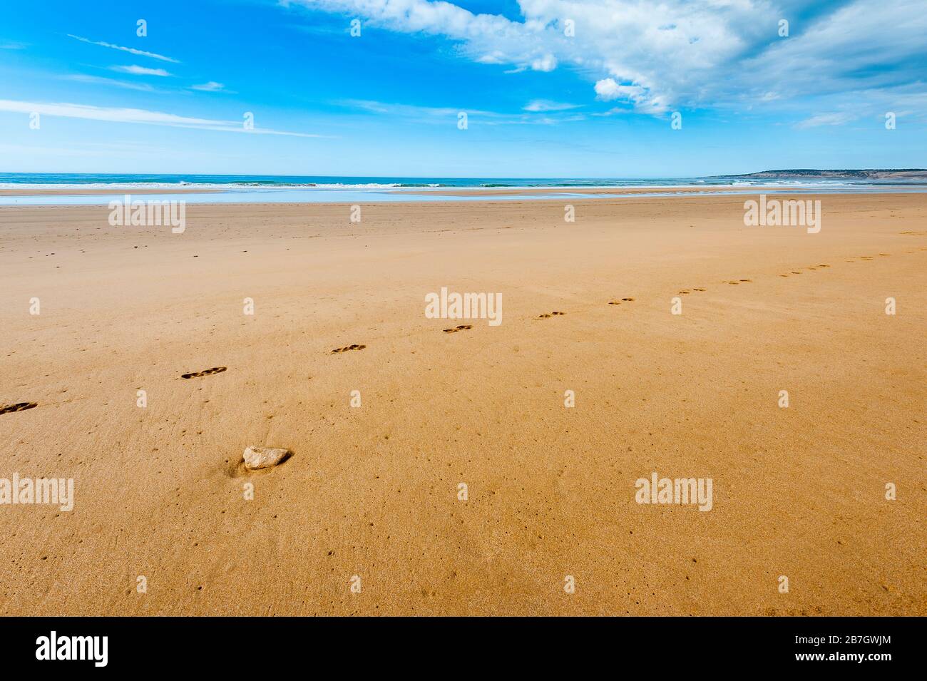 Spiaggia di Sidi Kaouki vicino Essaouira Foto Stock