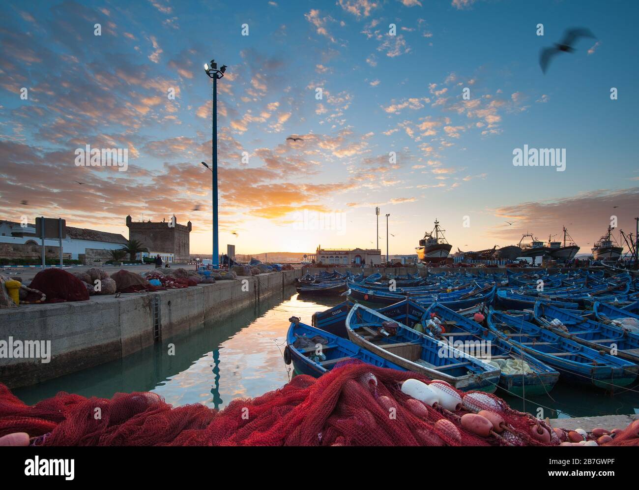 Blu barche da pesca nel porto di Essaouira, Marocco alla luce del mattino presto Foto Stock