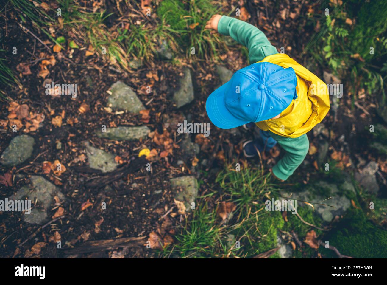 Escursioni in montagna per bambini piccoli, avventura in famiglia, vista dall'alto. Piccolo bambino che cammina in una foresta verde rocciosa. Foto Stock