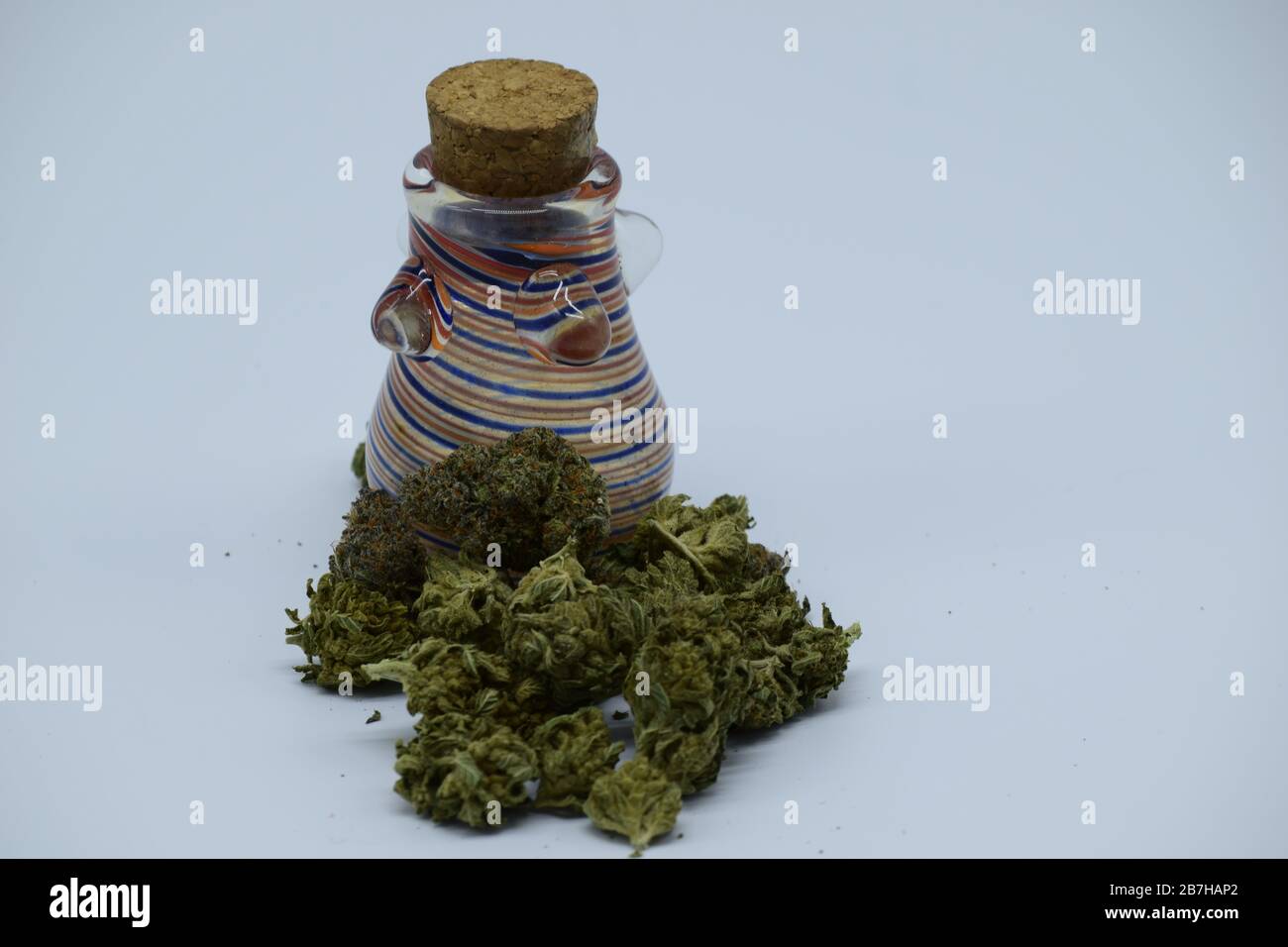 Primo piano di gemme marijuana splendidamente dense contro sfondo Foto Stock