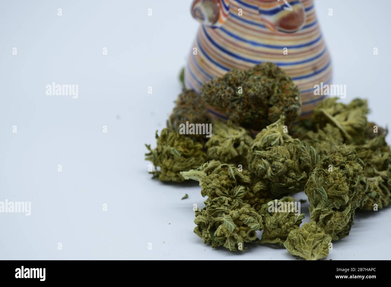 Primo piano di gemme marijuana splendidamente dense contro sfondo Foto Stock