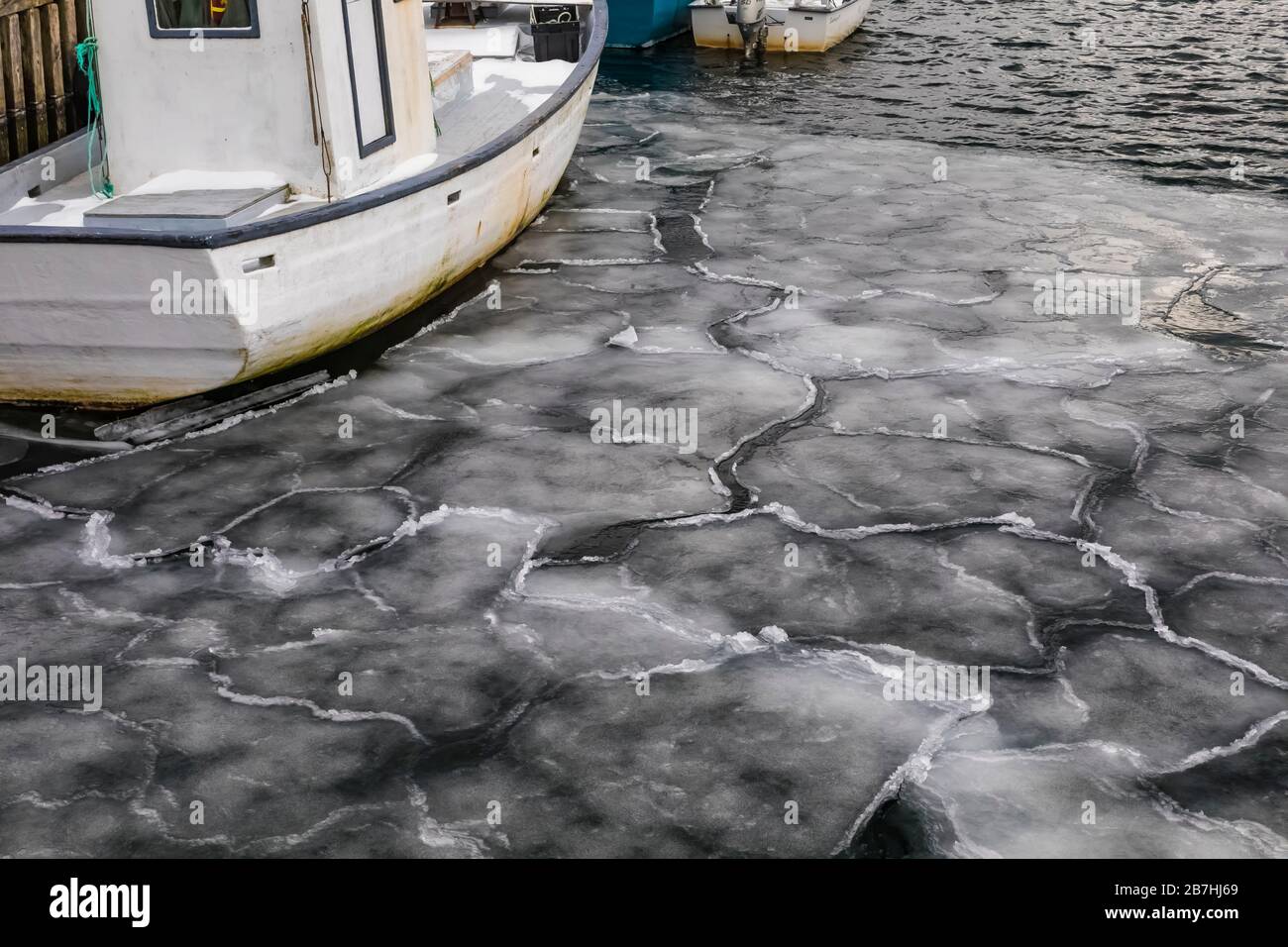Ghiaccio marino vicino a riva su una baia che si apre sull'Oceano Atlantico in Terranova, Canada Foto Stock