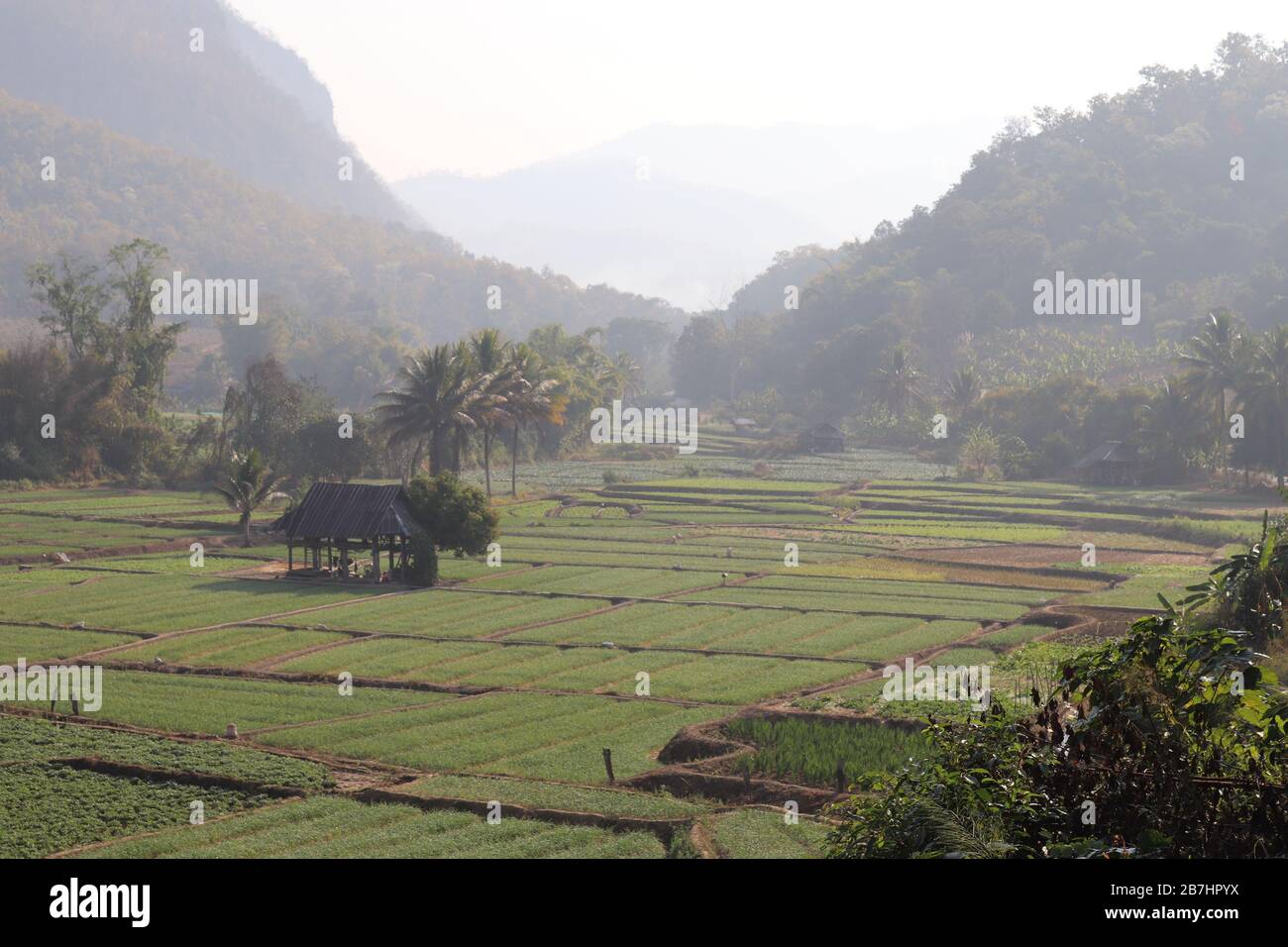 PROVINCIA DI MAE HONG SON, THAILANDIA DEL NORD. Foto Stock