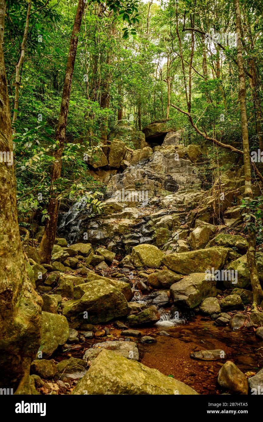 Insenatura profonda della foresta con le rocce ghats occidentali India Foto Stock