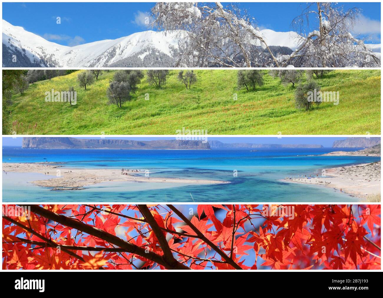 Collage di banner quattro stagioni - inverno, primavera, estate e autunno concetto. Foto Stock