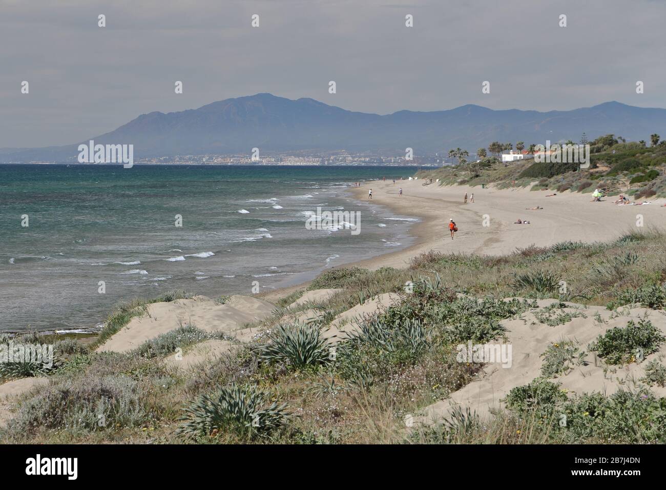 Parco naturale di Cabopino, Marbella, Costa del Sol, provincia di Málaga, Andalusia, Spagna. Foto Stock