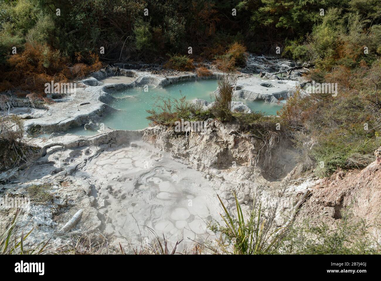 Gorgoglianti piscine termali di fango e acqua al Parco Geotermico di Orakei Koraki, Nuova Zelanda Foto Stock