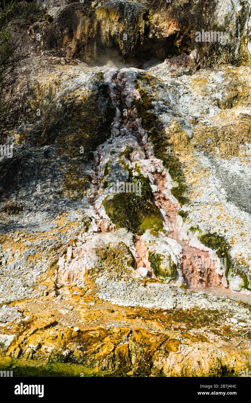 Colorati depositi minerali sotto una bocca termale al Parco geotermico di Orakei Korako, Nuova Zelanda Foto Stock
