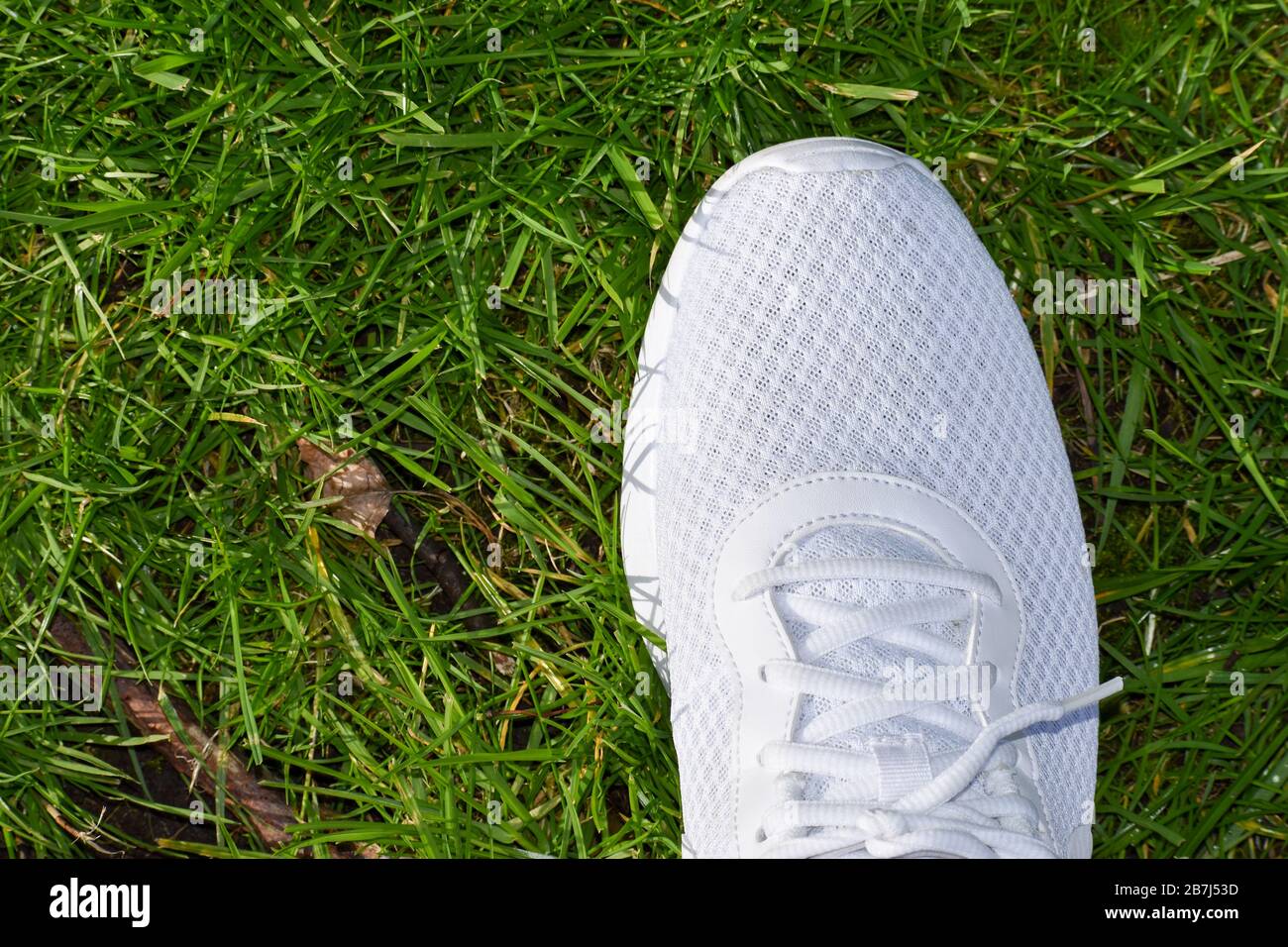 Primo piano di una scarpa sportiva bianca, trainer, runner su fondo erboso.  Concetto di avvio del business pronto all'uso Foto stock - Alamy