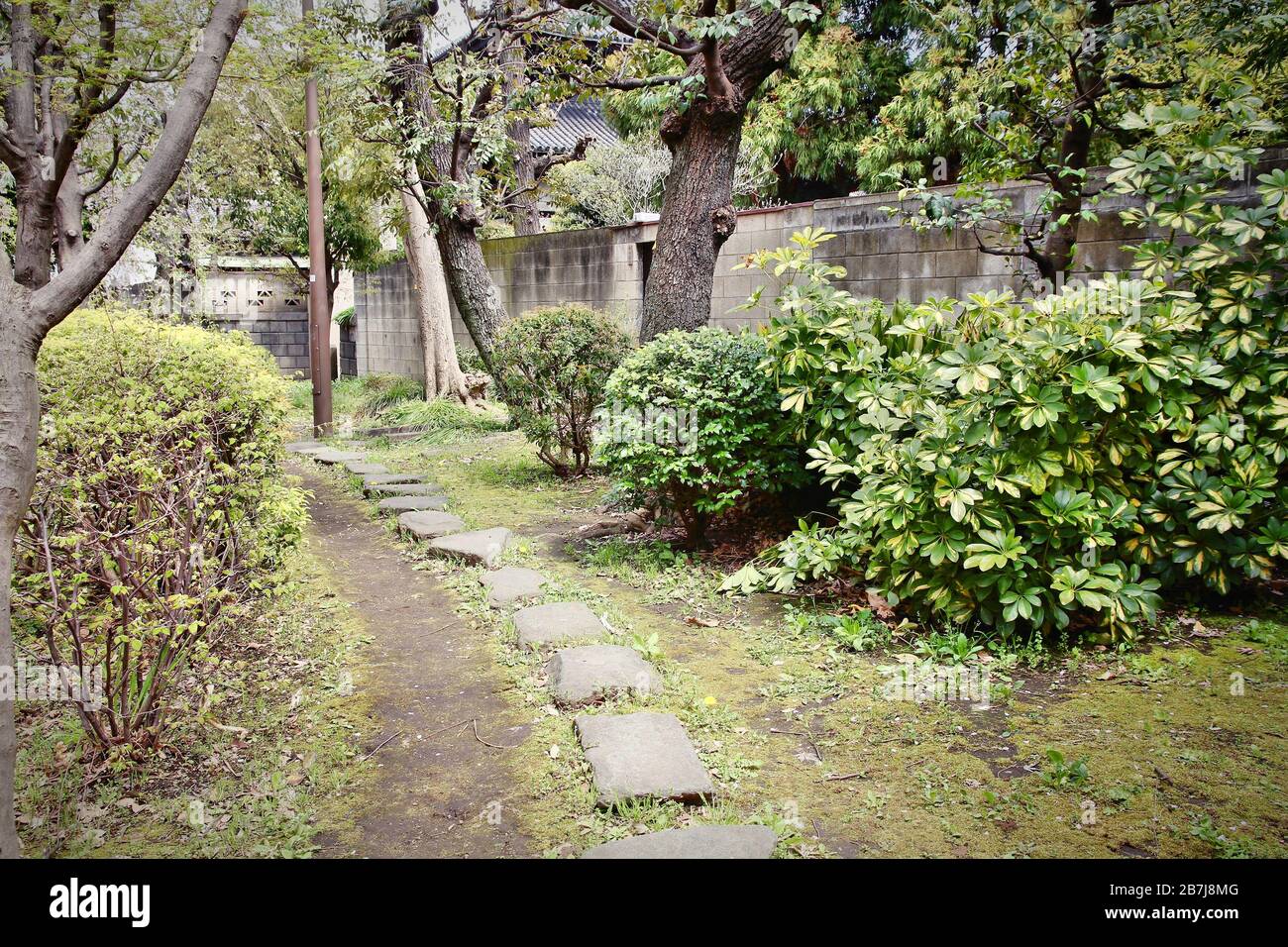 Tokyo, Giappone - misterioso sentiero nel famoso parco di Sumida. Foto Stock