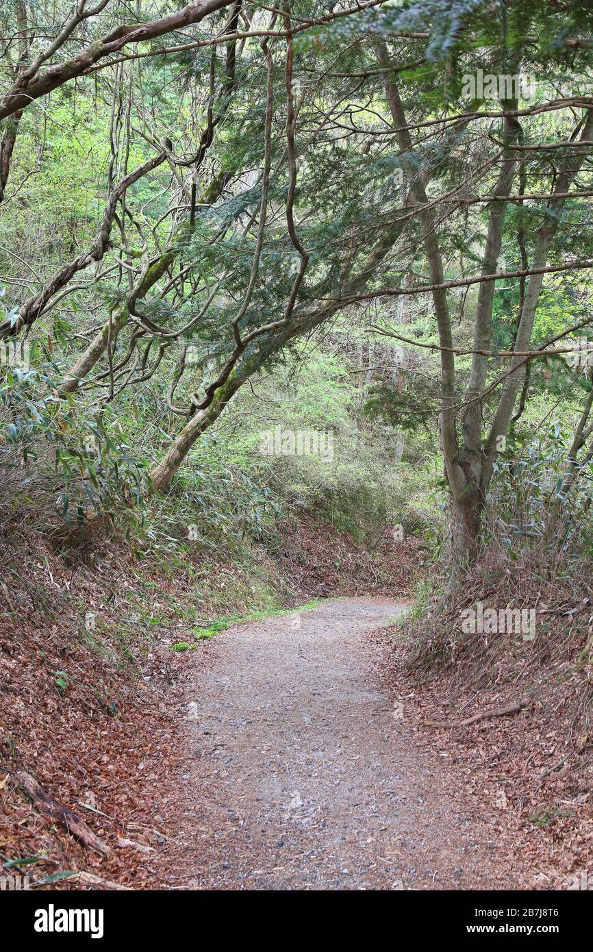 Giappone - storico sentiero Nakasendo vicino Tsumago. Il vecchio percorso di viaggio di centinaia di anni. Foto Stock