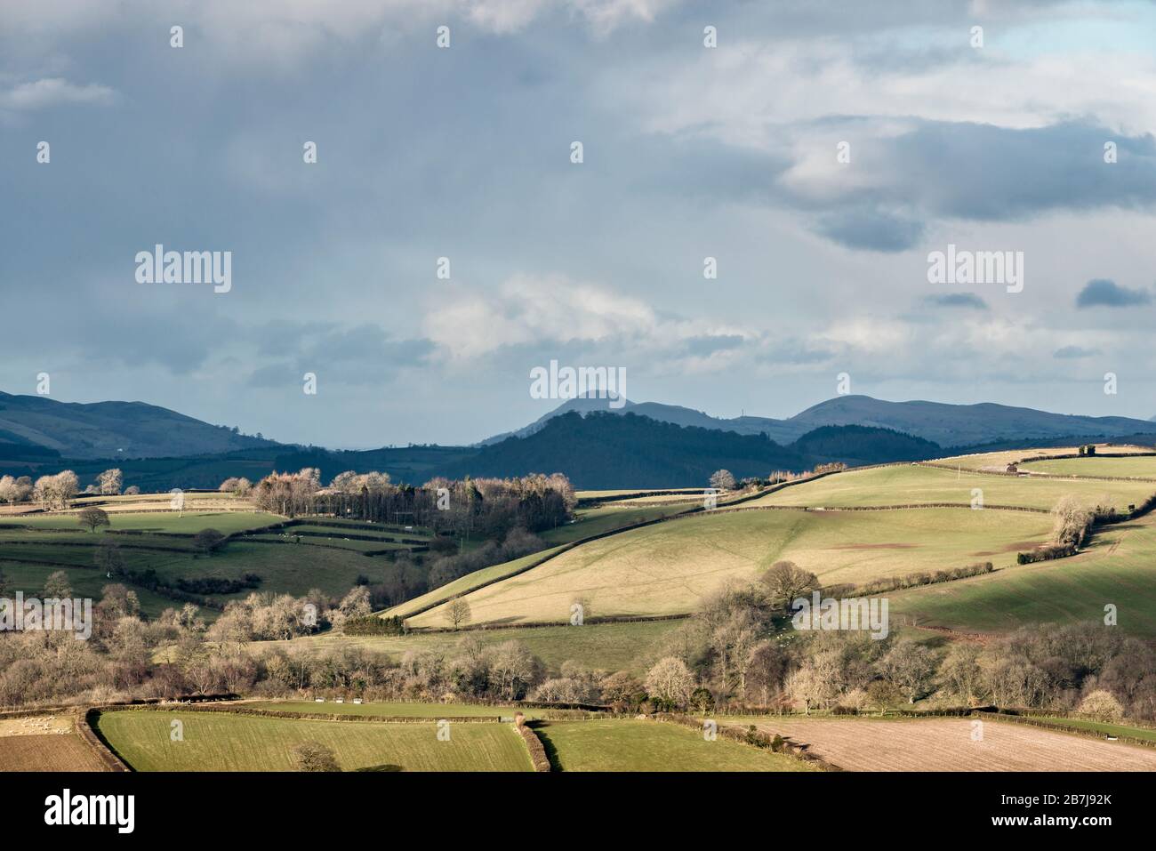 Una vista attraverso i campi nel tranquillo paesaggio del sud Shropshire, guardando a nord verso il lontano Long Mynd e le Stiperstones Foto Stock