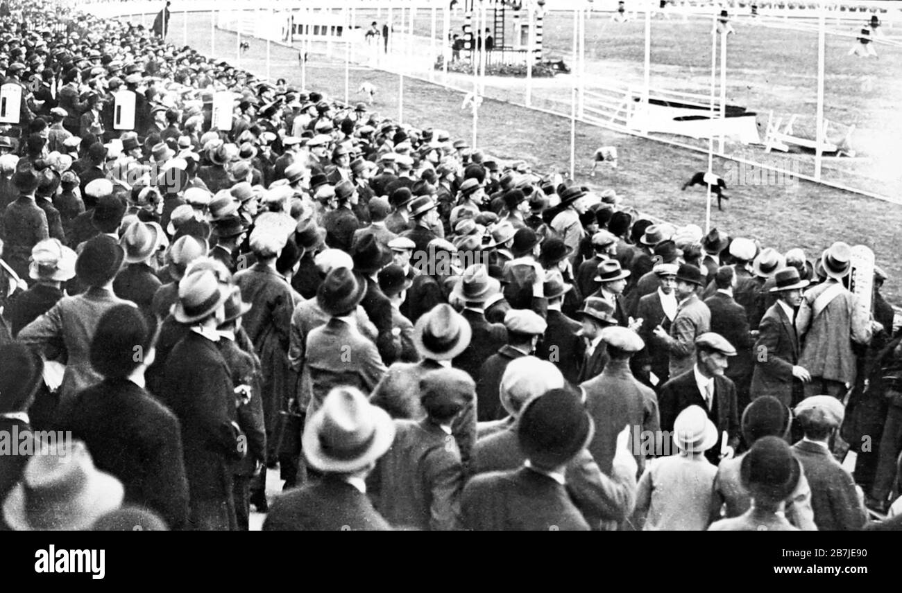 Pista da corsa Greyhound, primi del 1900 Foto Stock