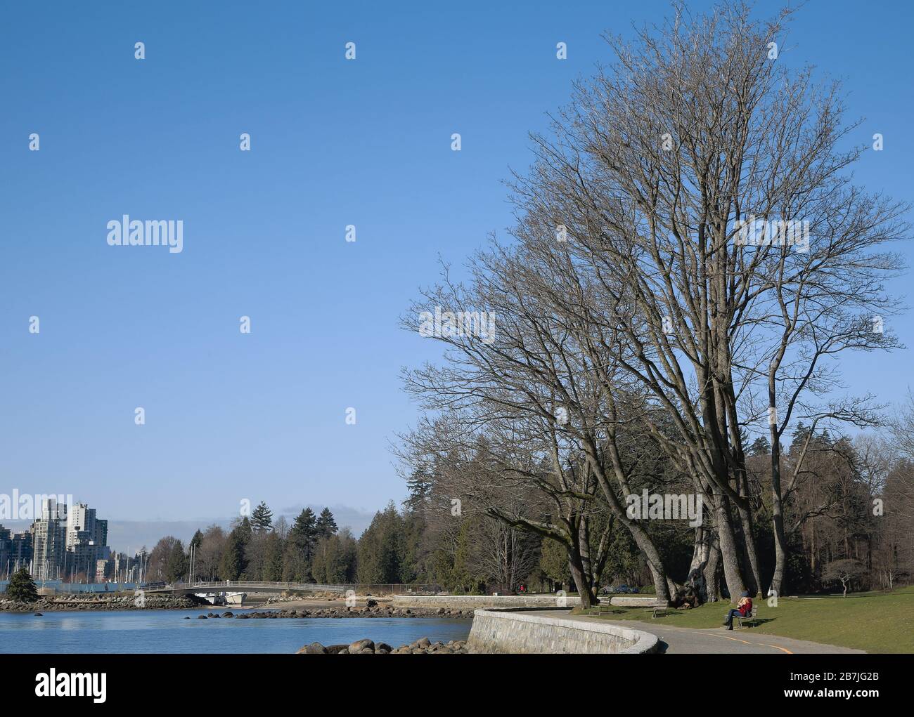 Stanley Park, Vancouver Foto Stock