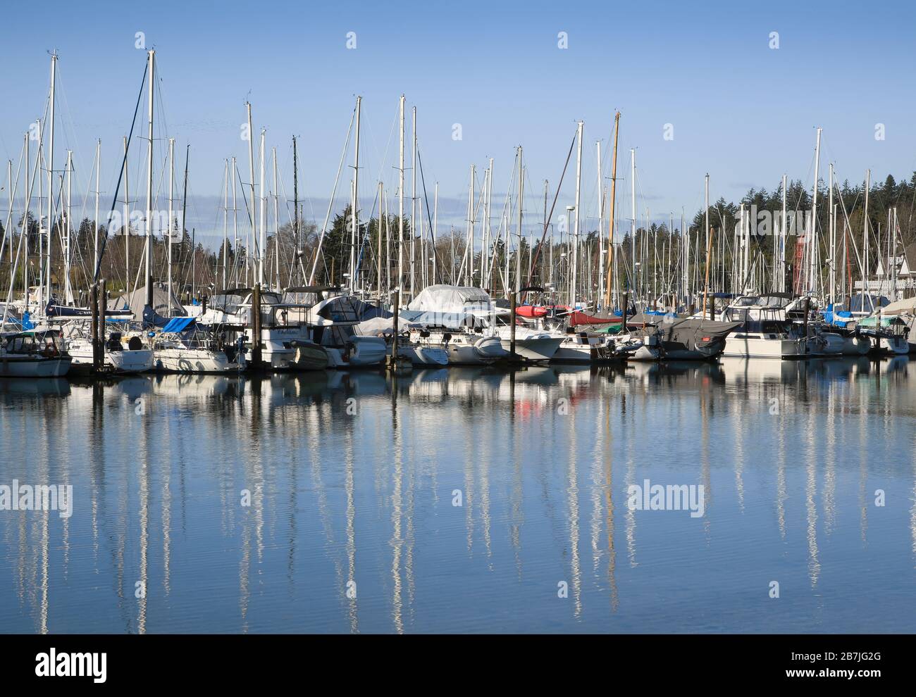 Coal Harbour Marina, Vancouver Foto Stock