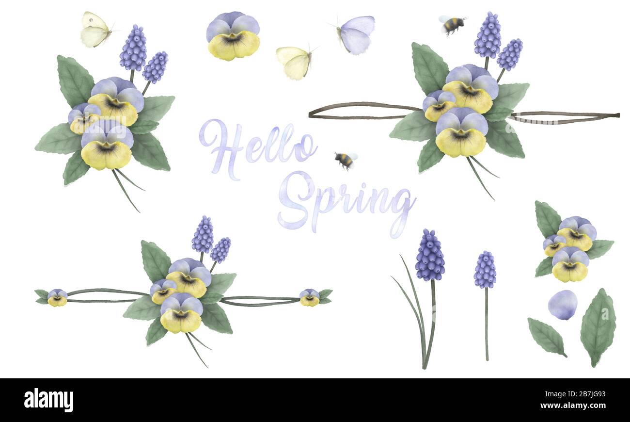 Ciao primavera, dipinti a mano ornamenti floreali con viola, uva giacinto, bumblebee e farfalla, dipinto a mano delicato ed elegante fiori Foto Stock