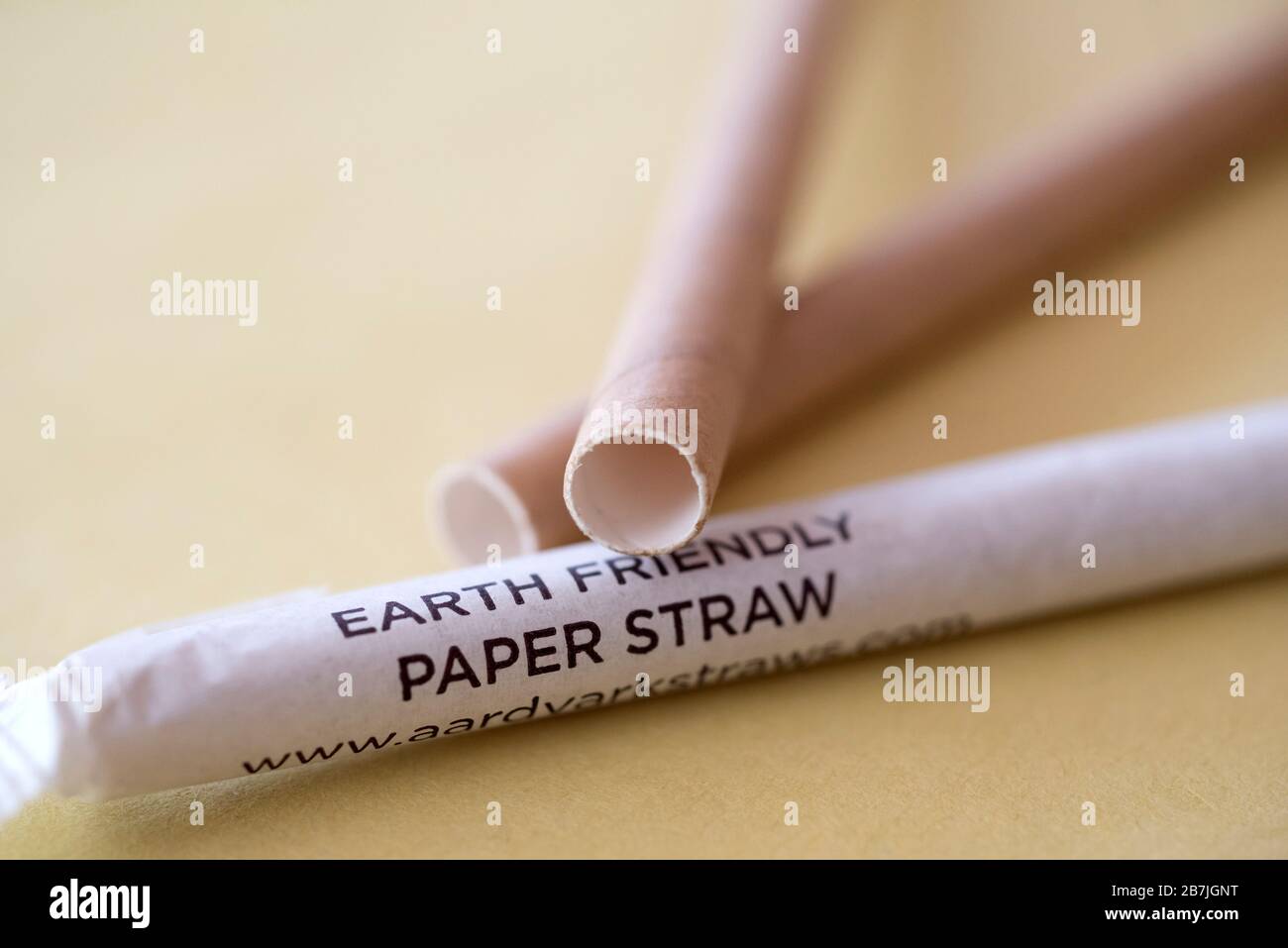 Le cannucce di carta, essendo touted come Earth friendly sono mandate in Alachua County Florida, che include l'università della Florida a Gainesville. Foto Stock