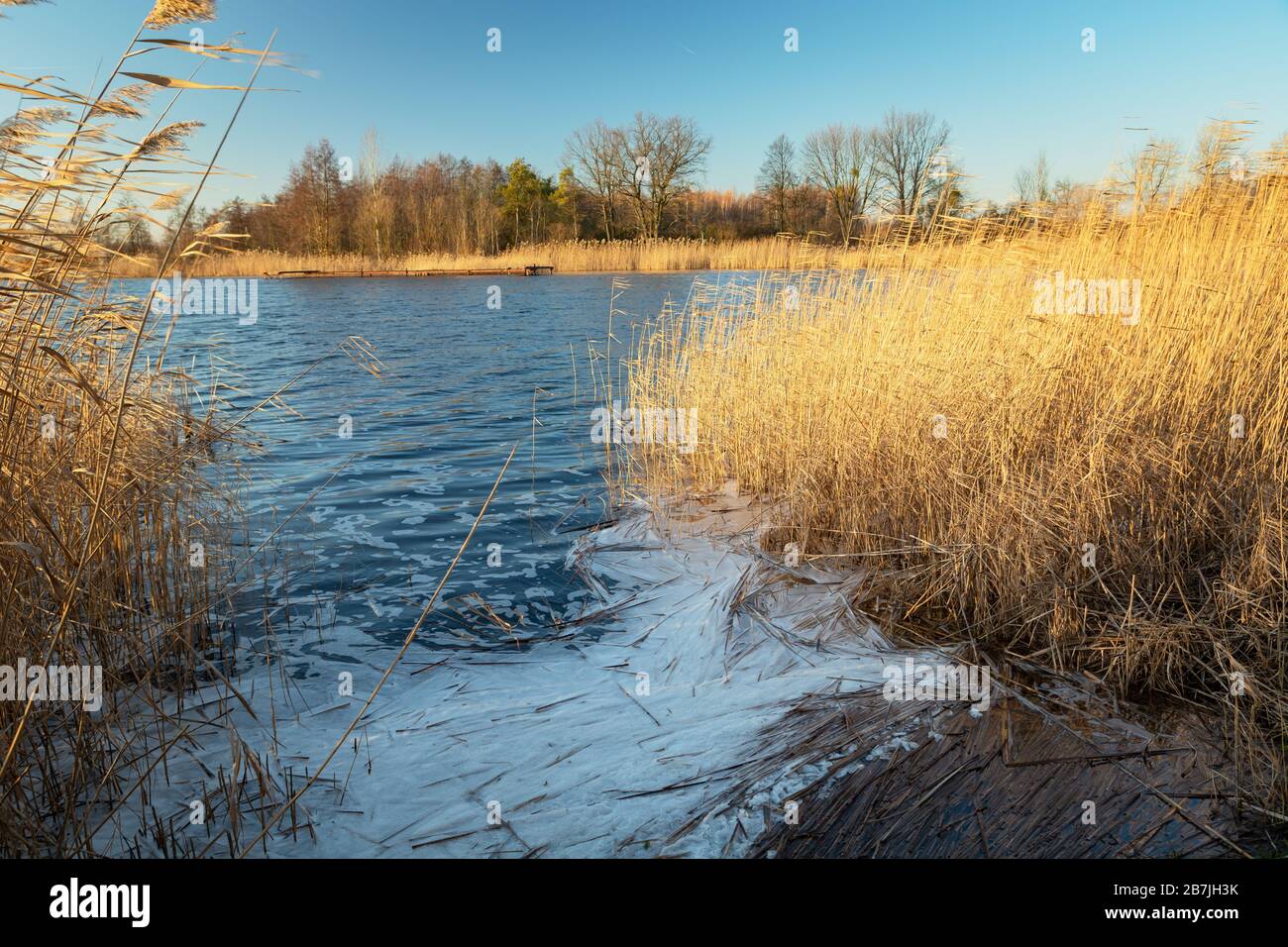 Schiuma sulla riva del lago, vista su una giornata di sole Foto Stock