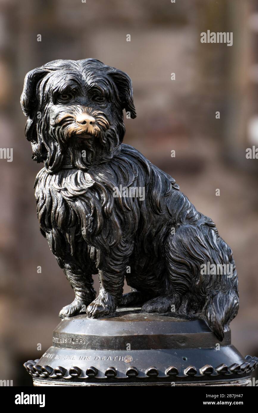 Dettaglio della famosa statua di bronzo del cane Greyfriars Bobby accanto a Greyfriars Kirkyard nel centro storico di Edimburgo, Scozia, Regno Unito Foto Stock