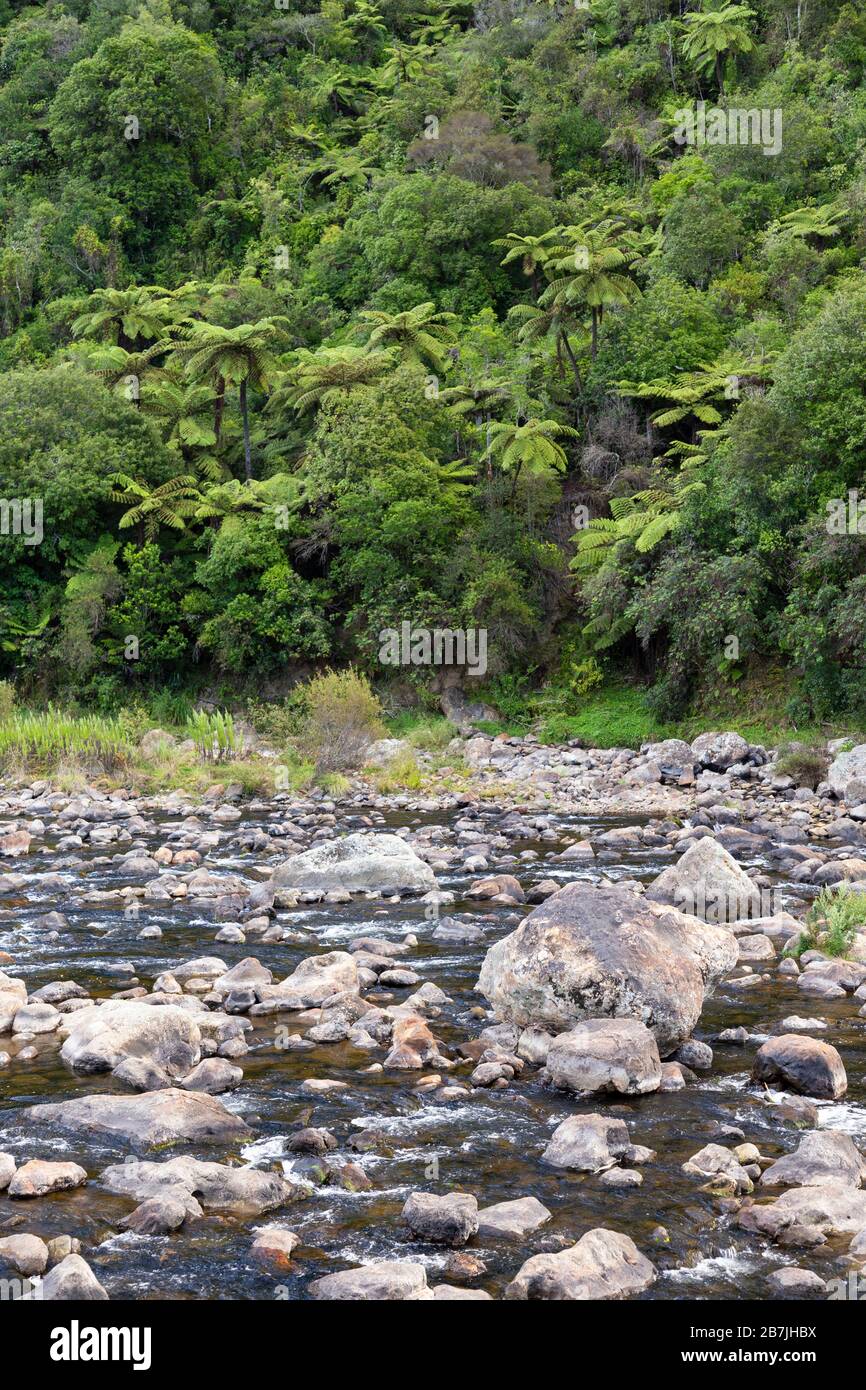 La gola di Karangahake e il fiume Ohinemuri Foto Stock