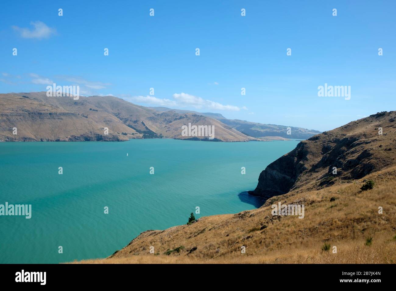 Godley Beach Park vicino a Christchurch e Akaroa, Canterbury Region, South Island, Nuova Zelanda Foto Stock