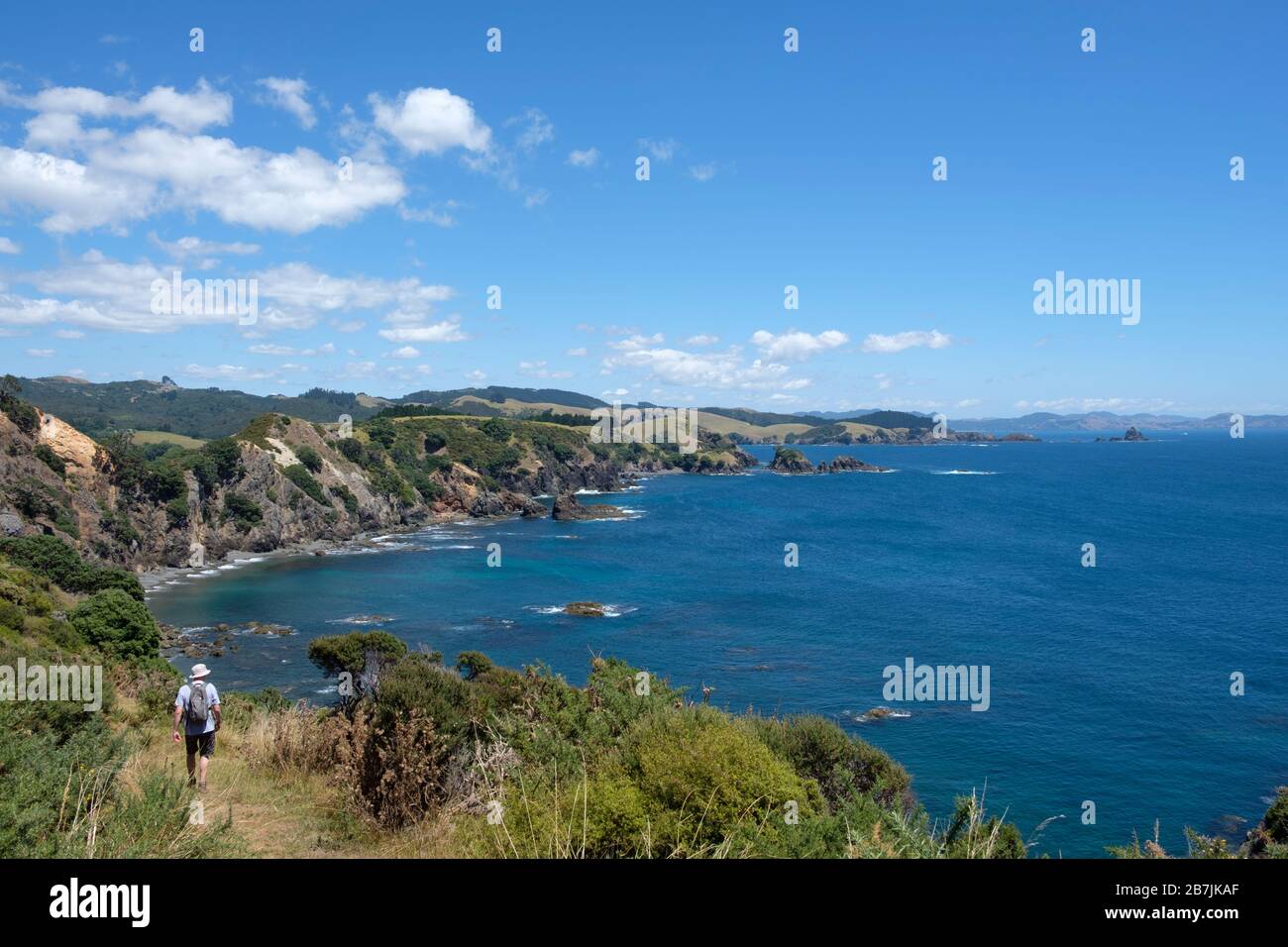 Uomo escursioni sulla penisola di Mahinepua e Bay Walking Track, Kaeo⁩, ⁩Bay delle isole, Northland North Island, Nuova Zelanda Foto Stock