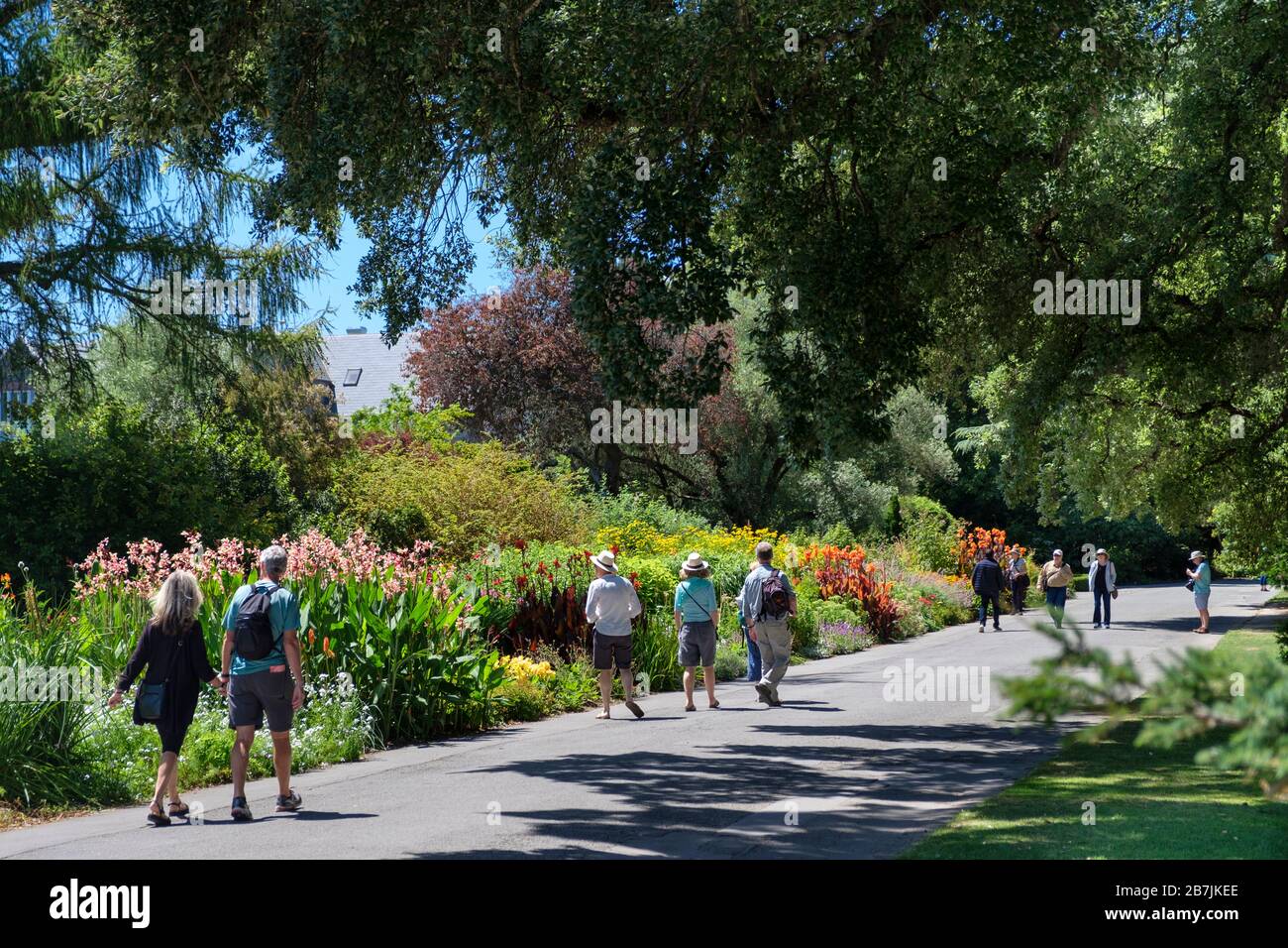 Persone che visitano i giardini botanici di Christchurch in estate, Christchurch, Canterbury Region, South Island, Nuova Zelanda Foto Stock