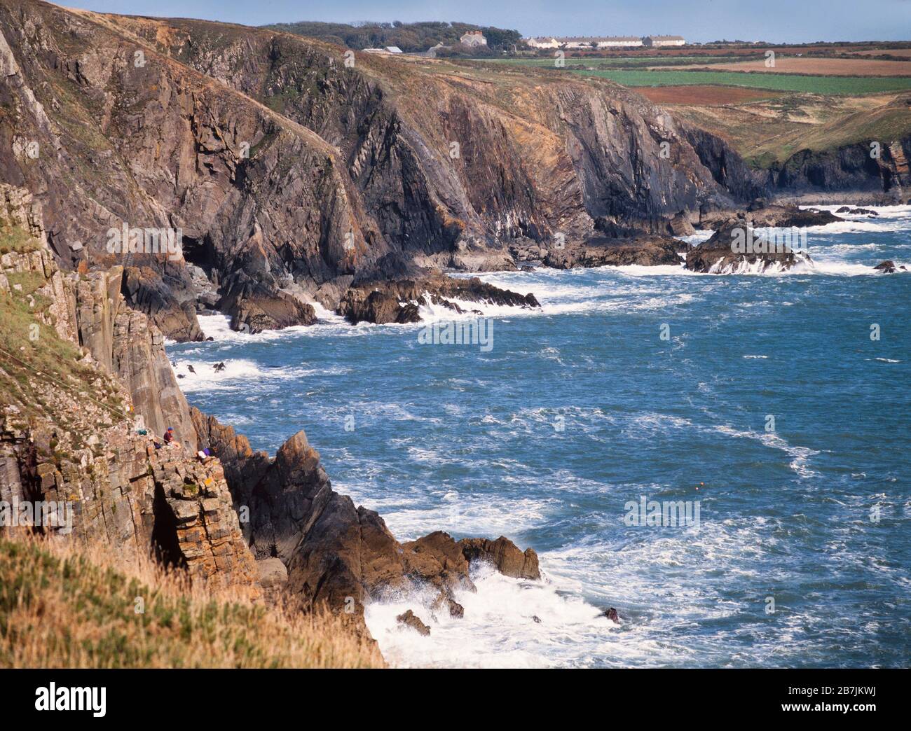 St Brides Bay, Pembrokeshire, Galles, Regno Unito. Una vista a nord che mostra erosione costiera. Foto Stock