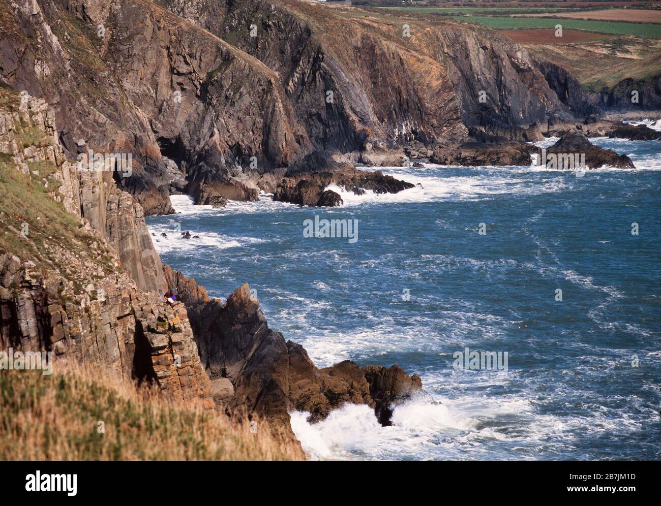 St Brides Bay, Pembrokeshire, Galles, Regno Unito. Una vista a nord che mostra erosione costiera. Foto Stock