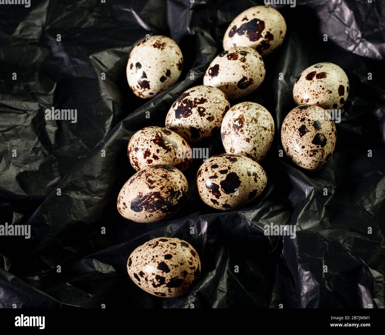 Quaglia uova macchiate sul primo piano astratto nero backgrounbd. Profondità della luce, modalità scura, texture astratta. Foto Stock