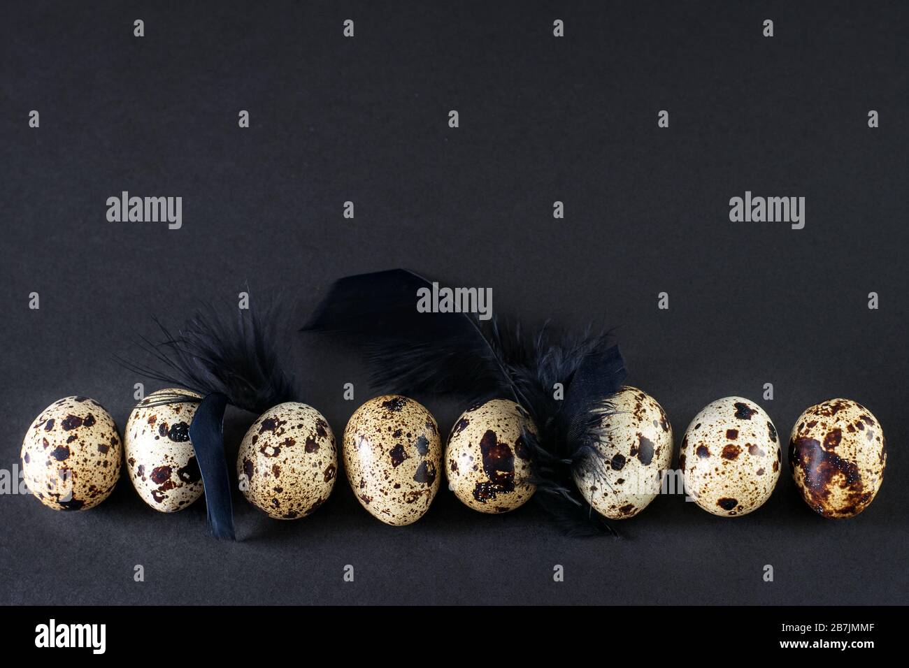 Uova di quaglia con piume nere su sfondo nero. Modalità scura, texture minimalistica nera, decorazioni artistiche. Foto Stock