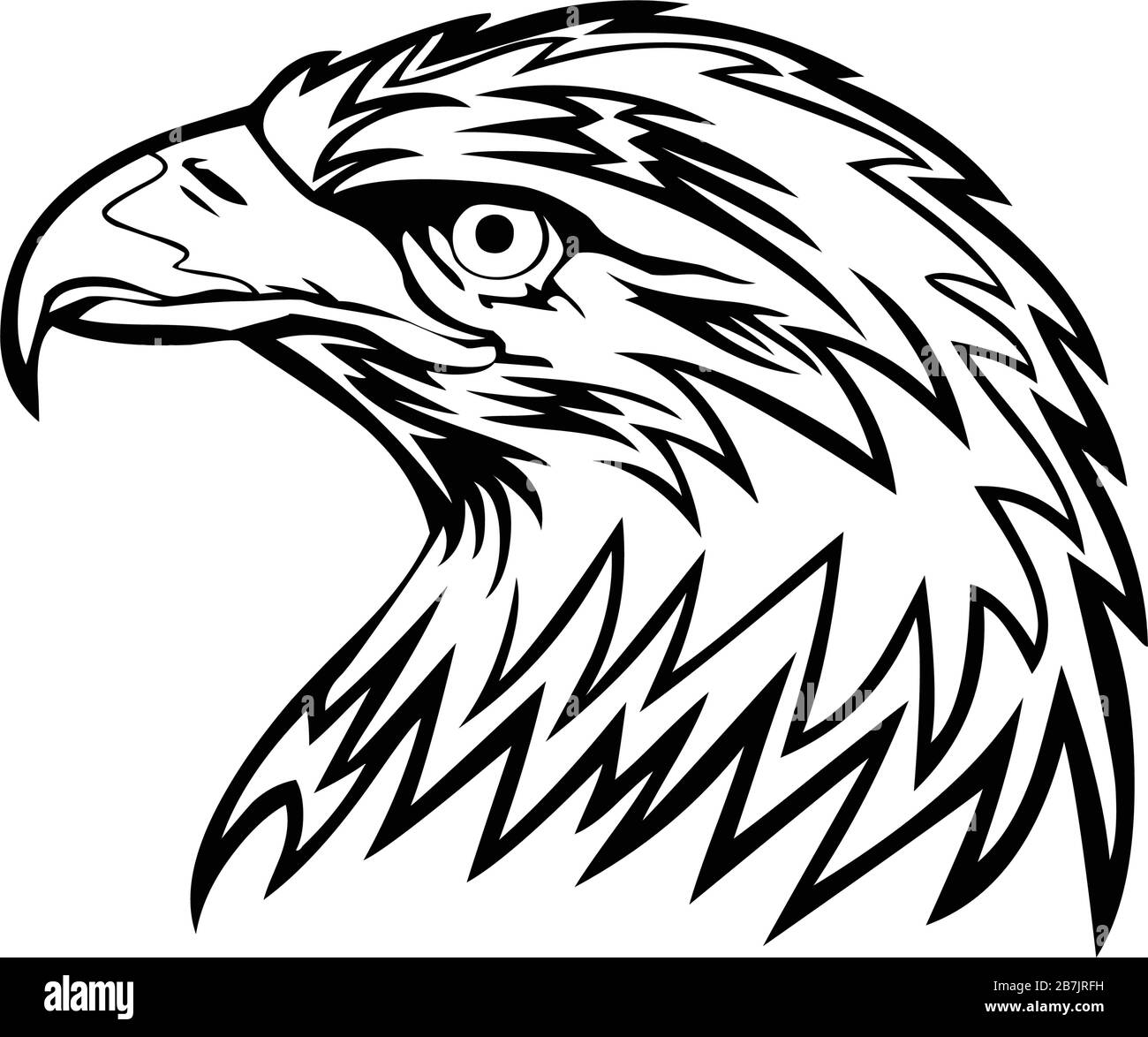 profilo testa eagle, illustrazione vettoriale, in colore nero, isolato su sfondo bianco Illustrazione Vettoriale