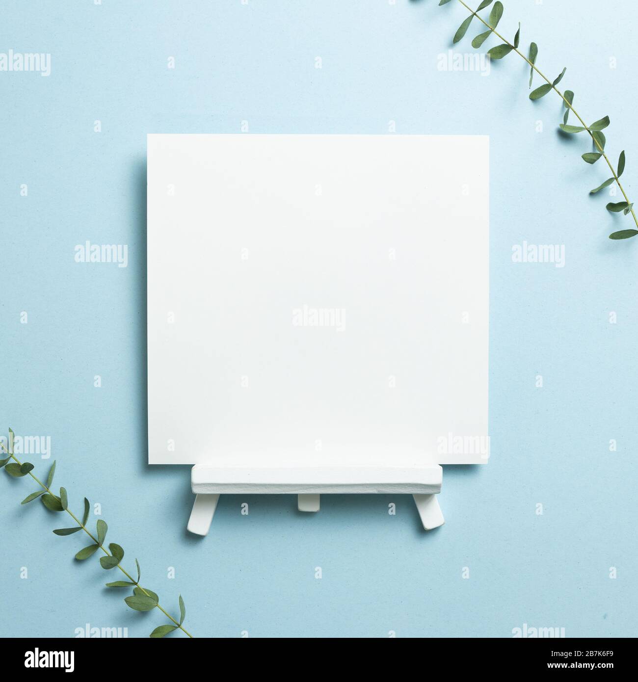 Bianco easel tela bianca con foglie di eucalipto isolato su sfondo blu. Vista dall'alto, spazio copia Foto Stock
