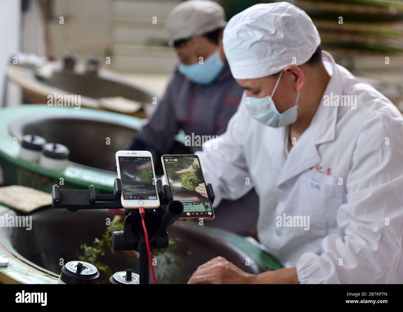 Gli smartphone registrano il processo di preparazione del tè alla Tangji gaoshan Tea Company nella città di Jinhua, provincia di Zhejiang della Cina orientale, il 23 febbraio 2020. Foto Stock