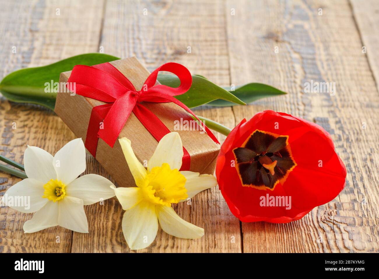 Fiori di tulipano e naffodils con scatola regalo su vecchie tavole di legno. Foto Stock