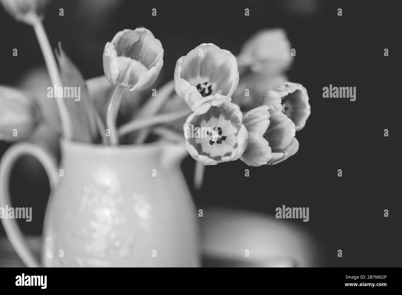 Colpo di closeup in scala di grigi di tulipani in un vaso in ceramica uno sfondo scuro Foto Stock