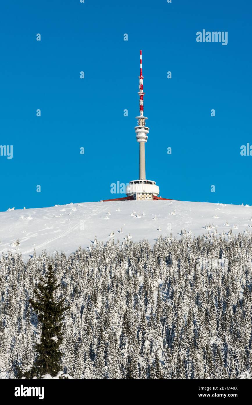 Collina di Praded con la torre di comunicazione nelle montagne Jeseniky in repubblica Ceca durante la mattina d'inverno con cielo limpido Foto Stock