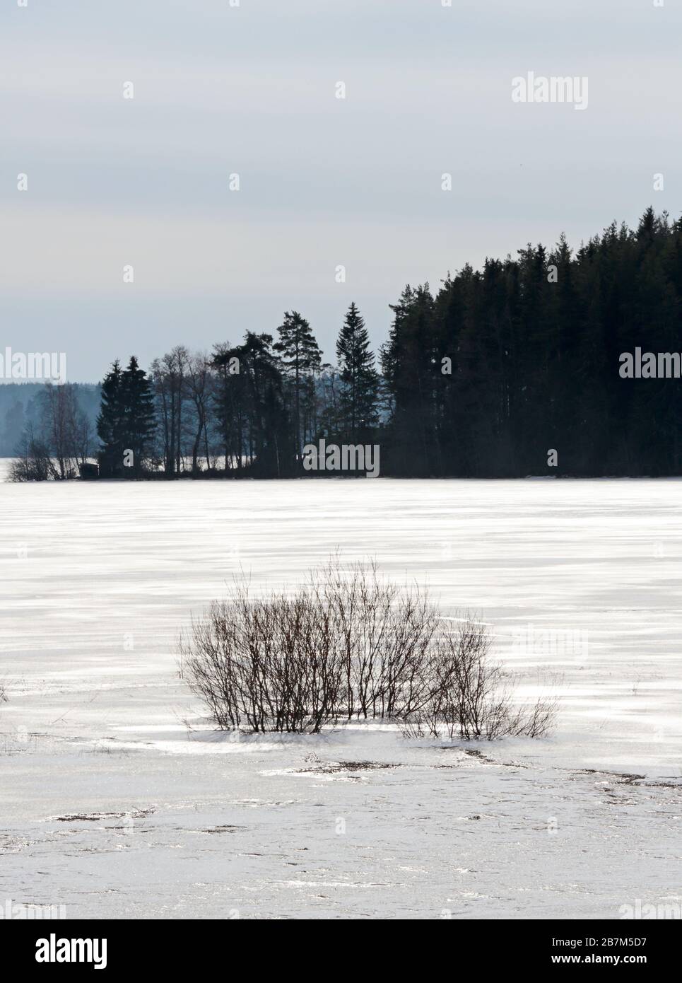 Una vista bianca sul lago della cantina all'inizio della primavera Foto Stock