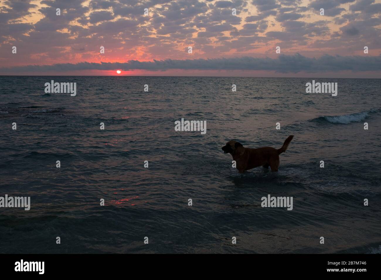 alba è sempre una vista eccezionale Foto Stock