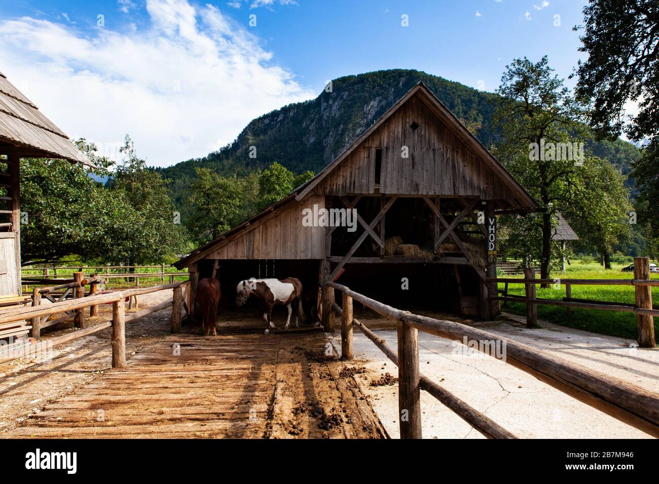 Cavalli fuori dal tipico fienile sloveno, Studor. Slovenia Foto Stock