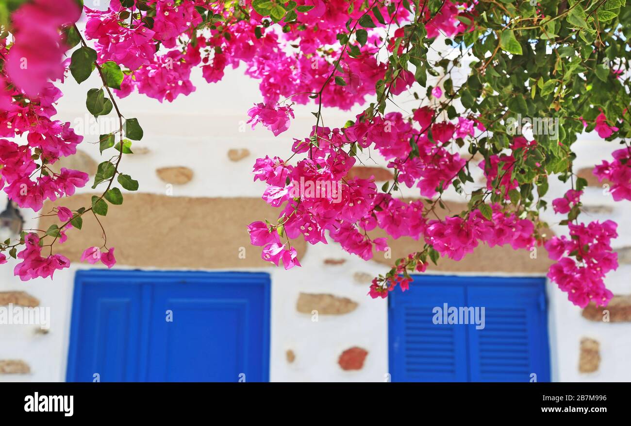Fiori tradizionali bougainvillea e porte blu a Koufonisia isole Cicladi Grecia Foto Stock