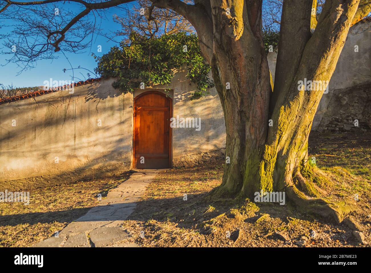 Ancora vita nel parco - porta in legno nel muro, passerella in pietra, nel primo tronco di un vecchio albero, sera - Giardino del castello, Cesky Krumlov, ceco Foto Stock