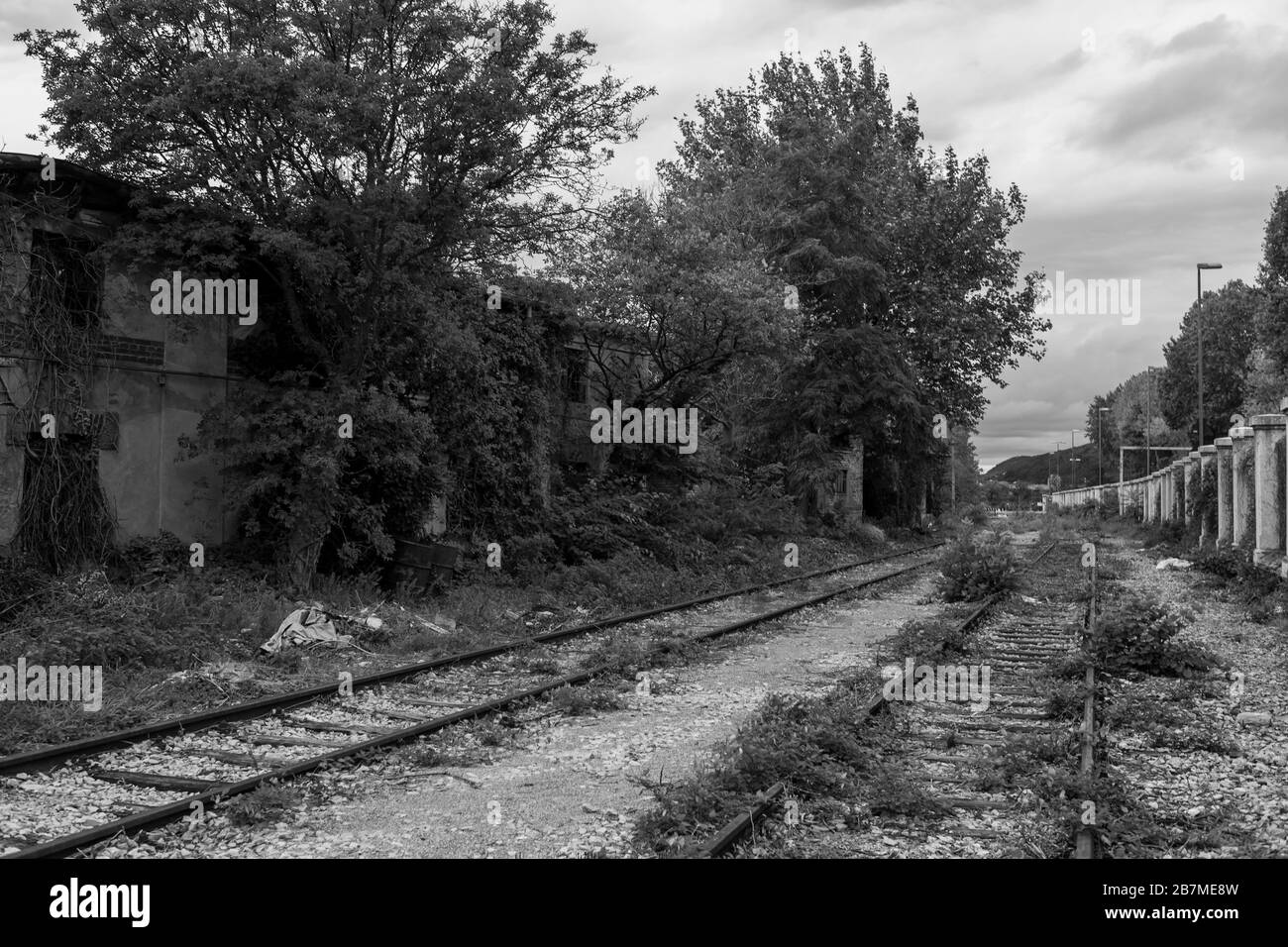 Linee ferroviarie abbandonate nel Porto Vecchio di Trieste, Friuli-Venezia-Giulia, Italia: Versione in bianco e nero Foto Stock