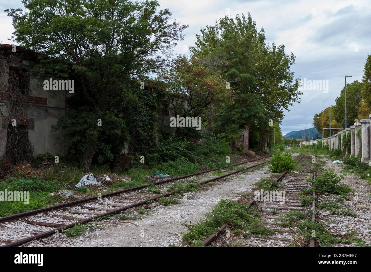 Linee ferroviarie abbandonate nel Porto Vecchio di Trieste, Friuli-Venezia-Giulia, Italia Foto Stock