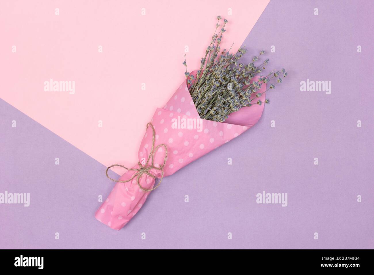 Bouquet Di Fiori Di Lavanda Su Sfondo Rosa E Lilla Concetto Estivo Floreale Minimalista In Colori Pastello Foto Stock Alamy September 4 at 11:35 pm ·. https www alamy it bouquet di fiori di lavanda su sfondo rosa e lilla concetto estivo floreale minimalista in colori pastello image348960840 html