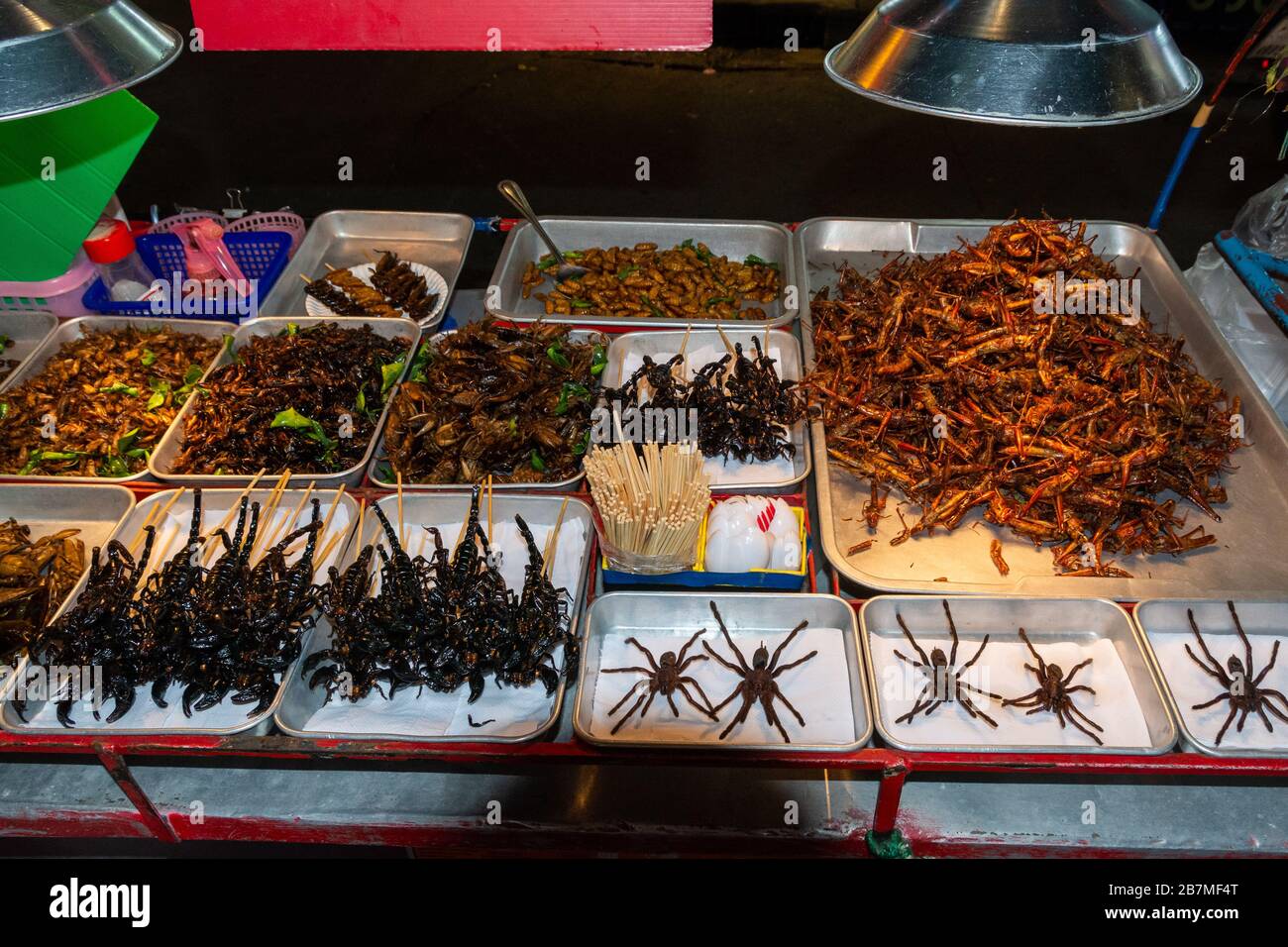 Insetti fritti in vendita in Thailandia Foto Stock