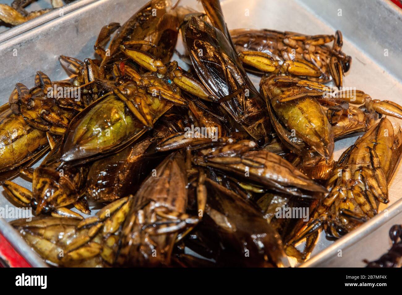 Scarafaggi fritti in vendita in Thailandia Foto Stock