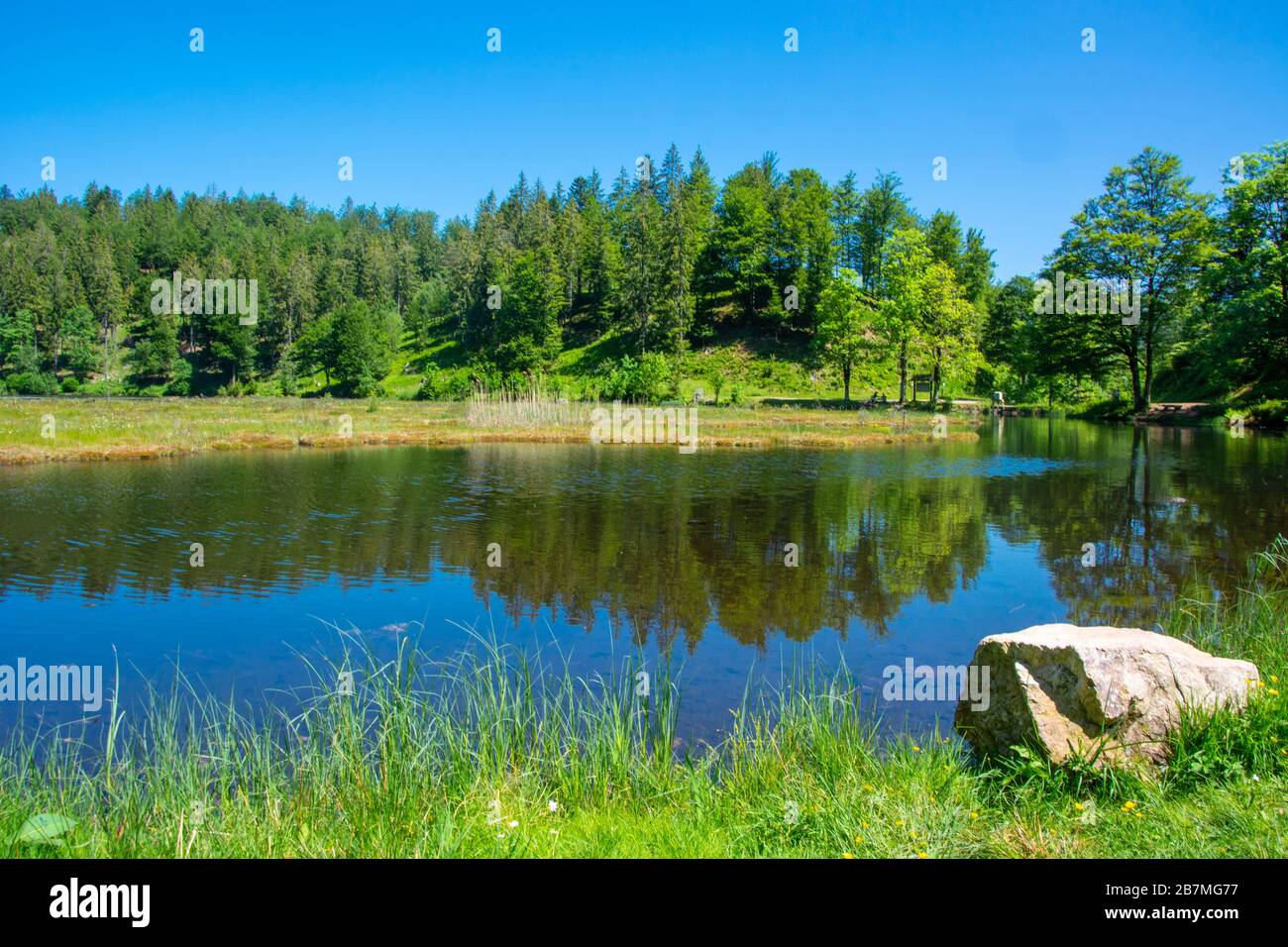 Lago Nonnenmattweiher nella foresta nera / Germania Foto Stock