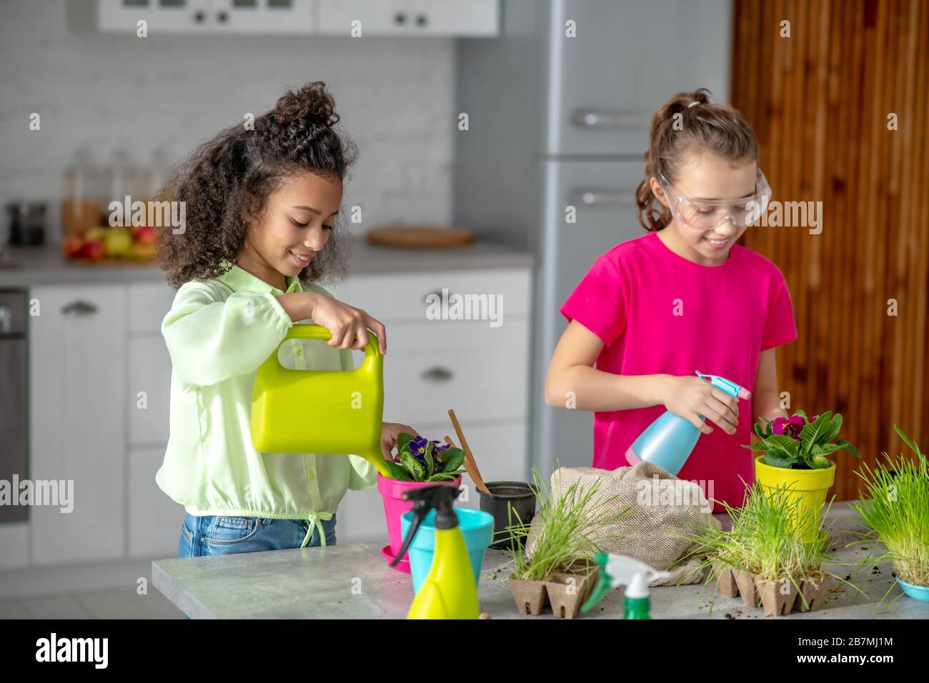 Ragazze che annaffia e irrigano i vasi di fiori in cucina. Foto Stock